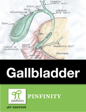 Read & Download The Gallbladder Book by Jeffrey Eakin M.D. Online