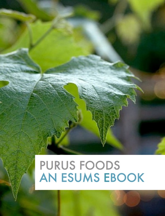 Purus Foods