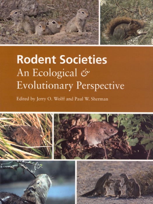 Rodent Societies