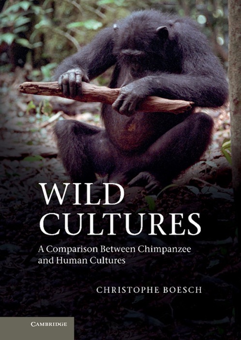 Wild Cultures