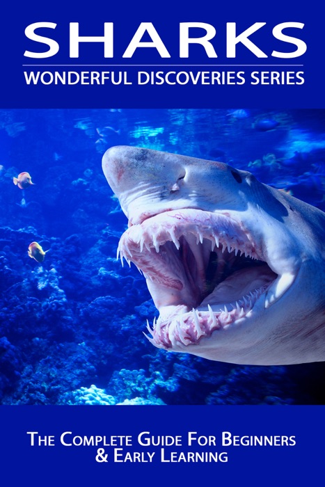 Sharks. Complete Guide for Beginners