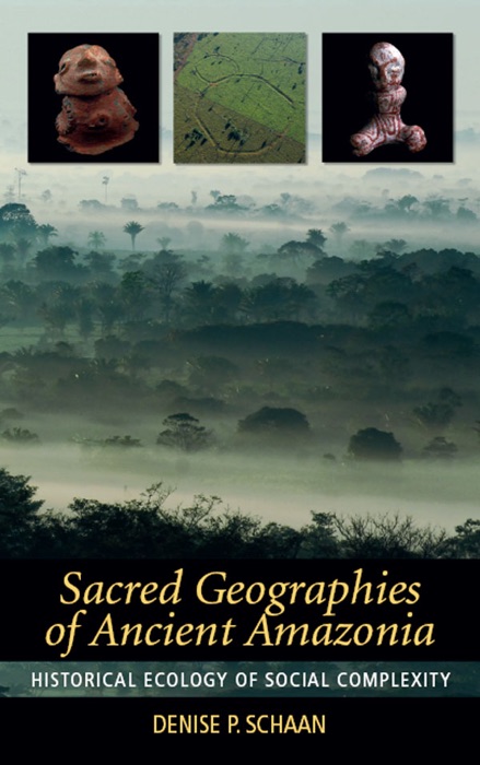 Sacred Geographies of Ancient Amazonia