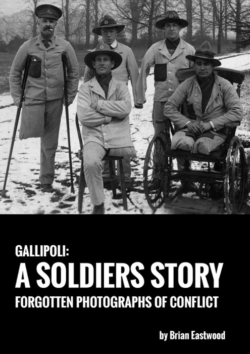 Gallipoli: A Soldier's Story