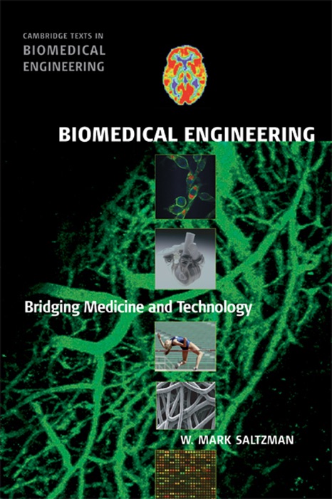 Biomedical Engineering