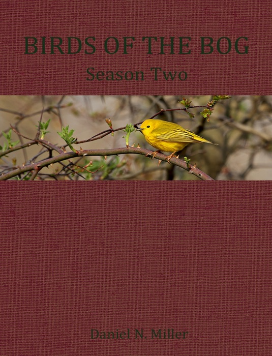 Birds of the Bog Season Two