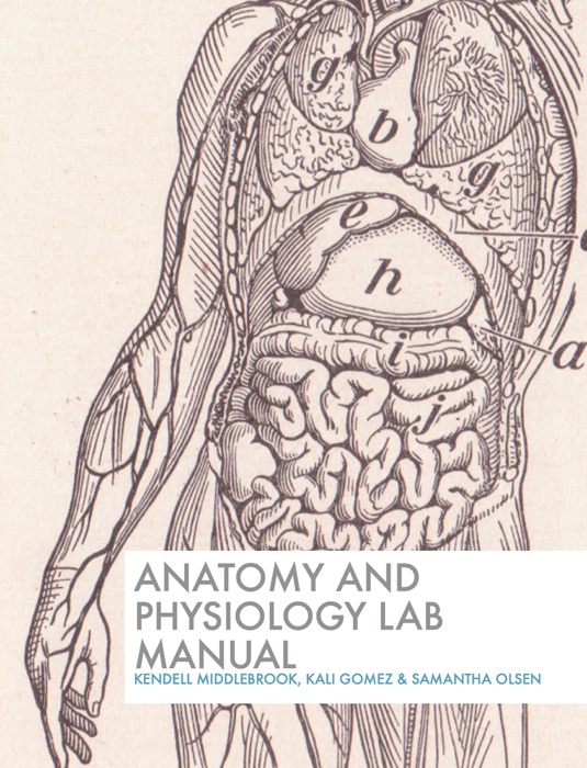 Anatomy and Physiology Lab Manual