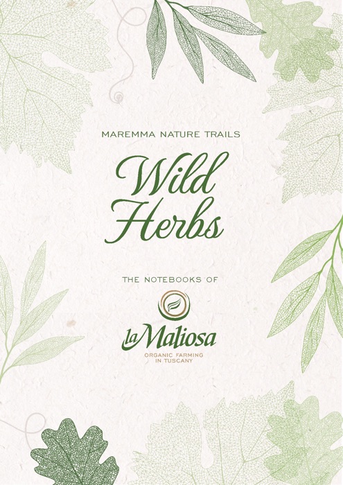 Wild Herbs