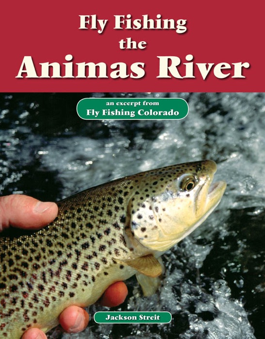 Fly Fishing the Animas River