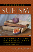 Practical Sufism - Phillip Gowins