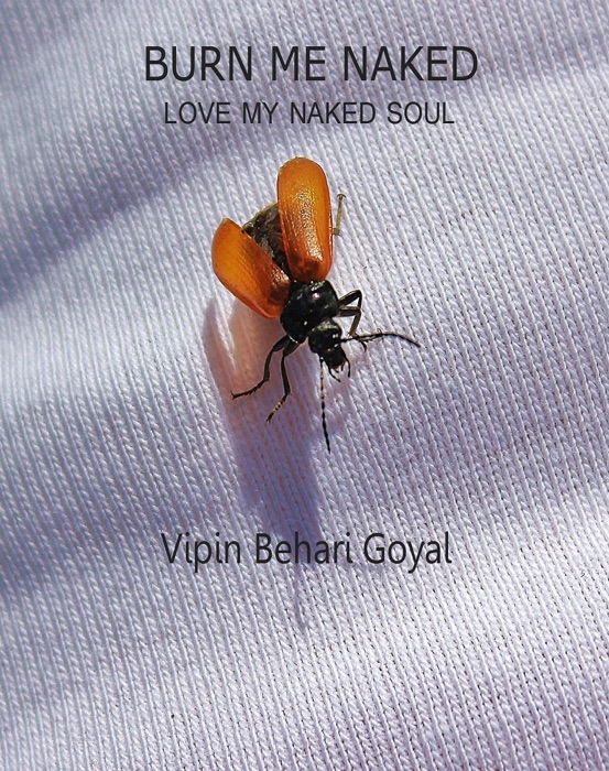 Burn Me Naked- Love My Naked Soul