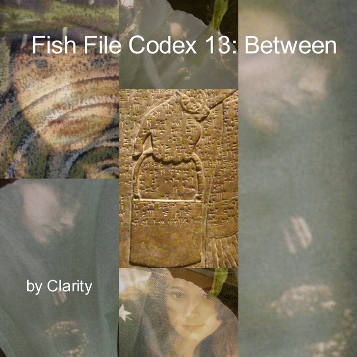 Fish File Codex 13: Between