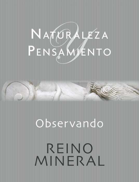 Observando - Reino Mineral