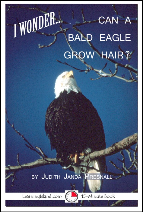 I Wonder... Can A Bald Eagle Grow Hair