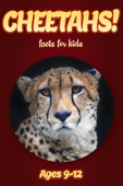 Cheetah Facts For Kids 9-12 - Cindy Bowdoin