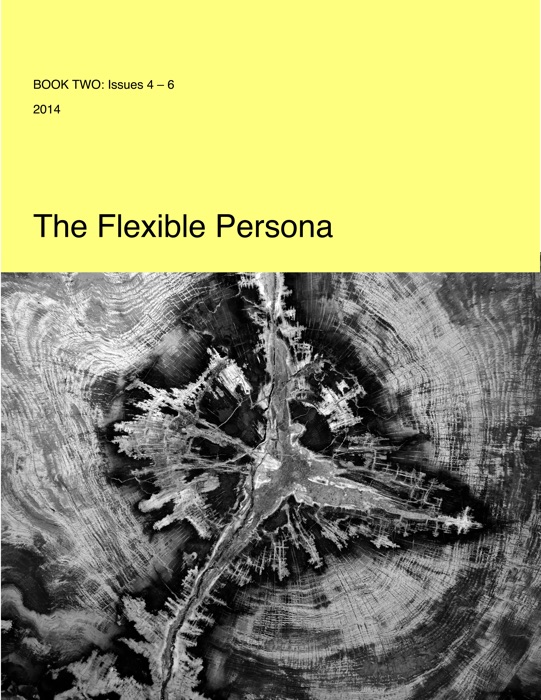 The Flexible Persona: Book Two