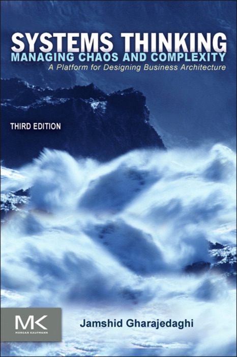 Systems Thinking: Managing Chaos and Complexity: Third Edition