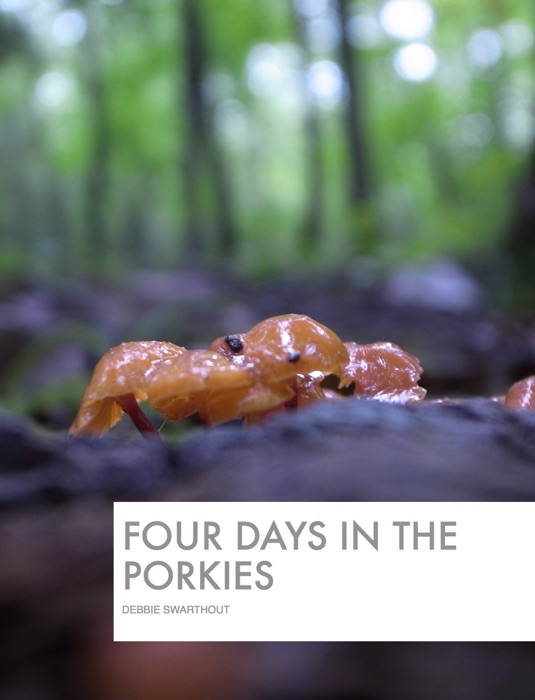 Four Days in the Porkies