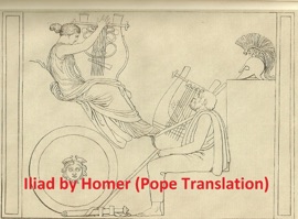 The Iliad, Pope Translation (Illustrated) - Homer