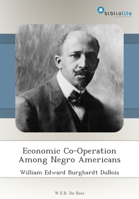 Economic Co-Operation Among Negro Americans