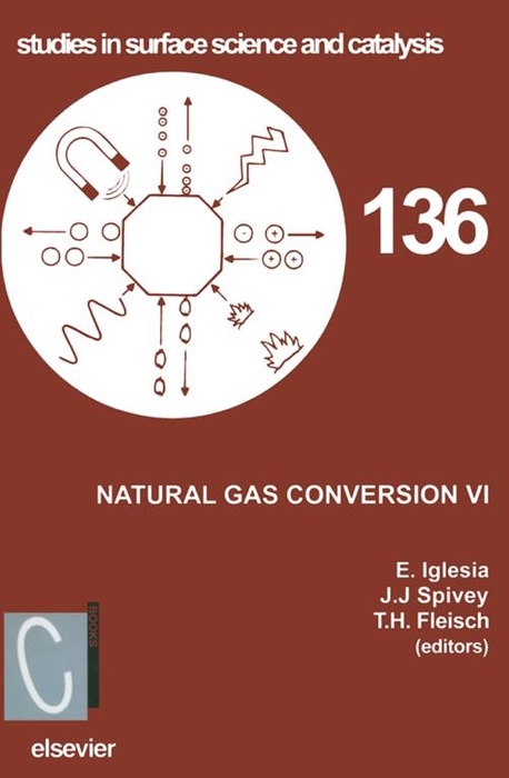 Natural Gas Conversion VI