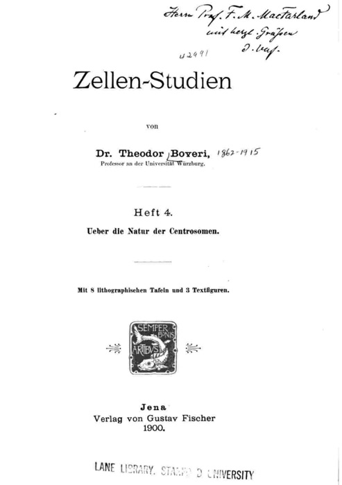 Zellen-Studien