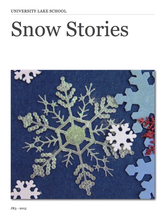 Snow Stories