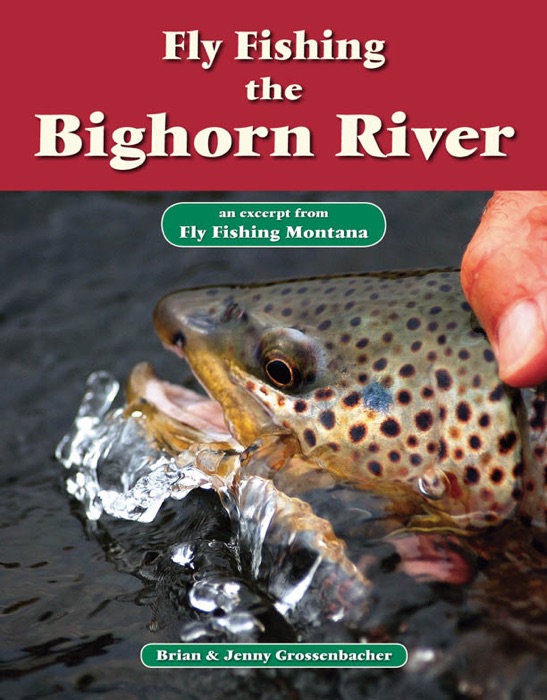 Fly Fishing the Bighorn River