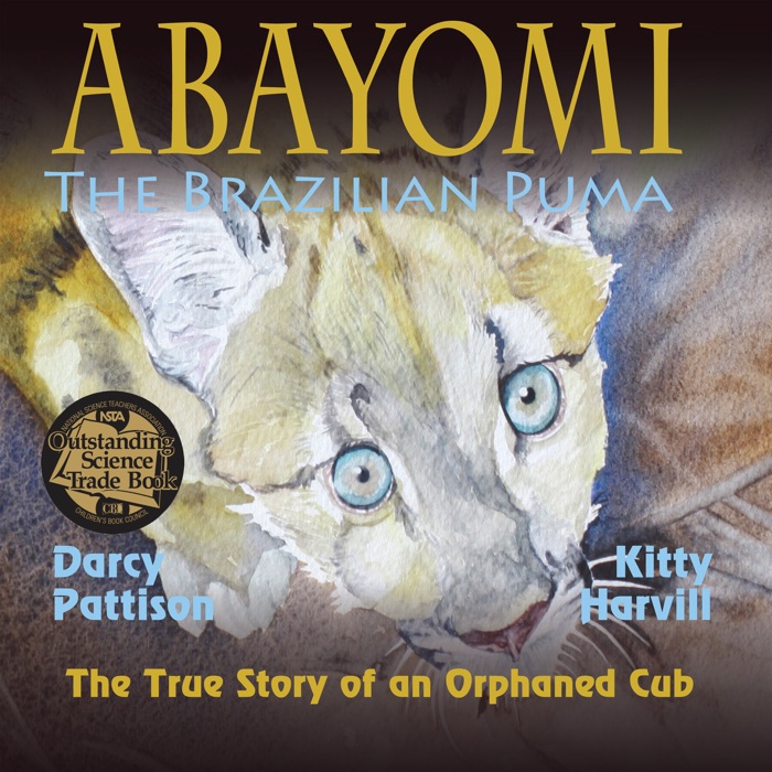 Abayomi, the Brazilian Puma