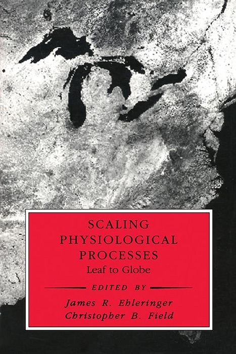 Scaling Physiological Processes