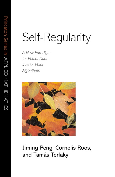 Self-Regularity