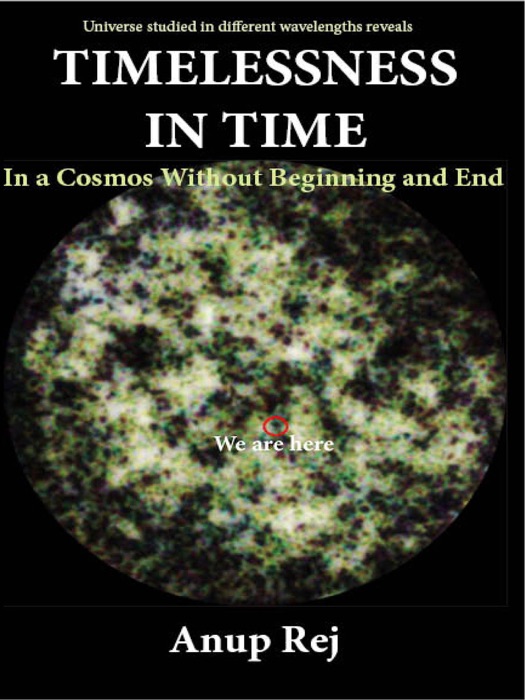 Timelessness in Time in the Universe