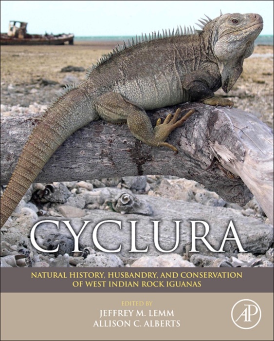 Cyclura