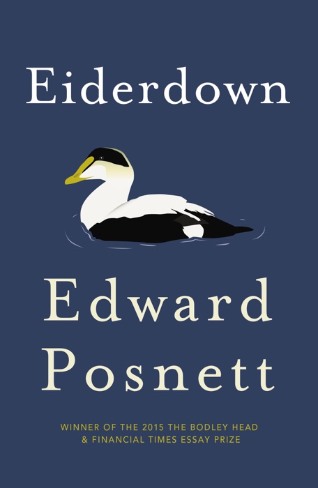 Eiderdown