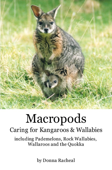 Macropods - Caring for Kangaroos and Wallabies