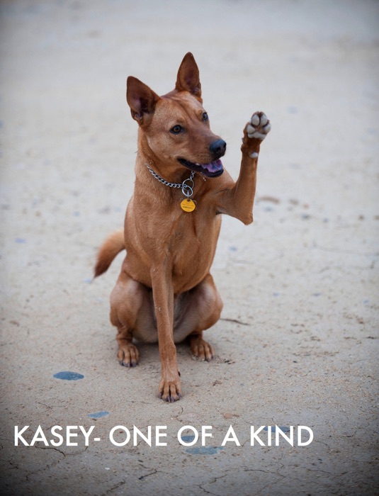Kasey- One of A Kind
