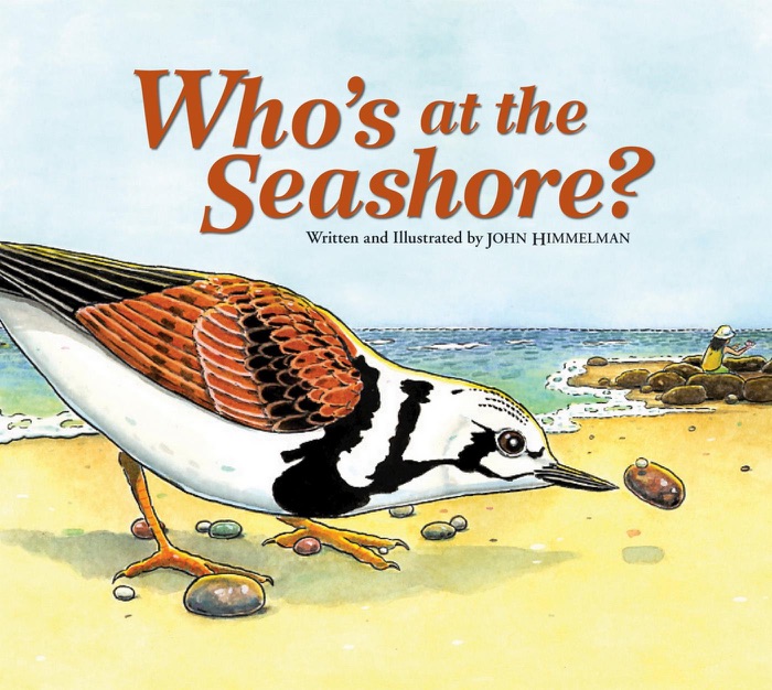 Who's at the Seashore? (Enhanced Edition)