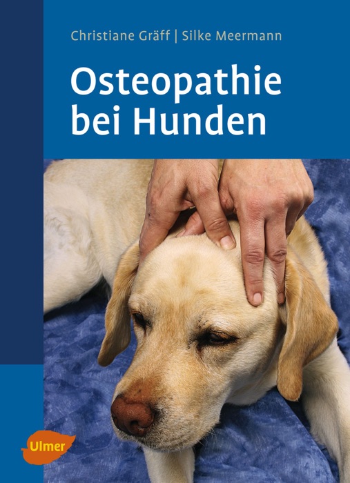 Osteopathie bei Hunden