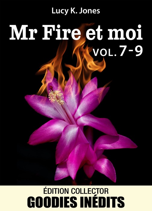 Mr Fire et moi - Vol. 7-9