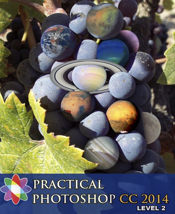 Practical Photoshop CC 2014 Level 2
