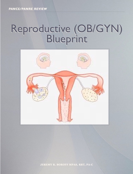 Reproductive OB GYN Blueprint