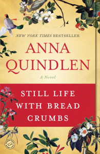 Still Life with Bread Crumbs Book Cover