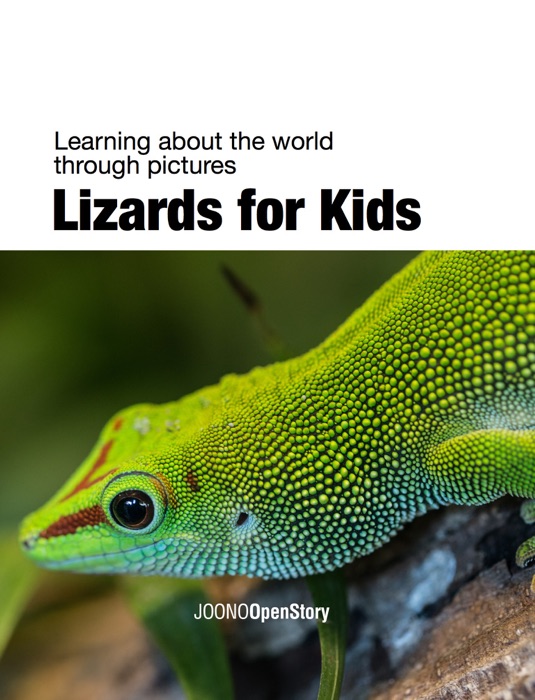 Lizards for Kids