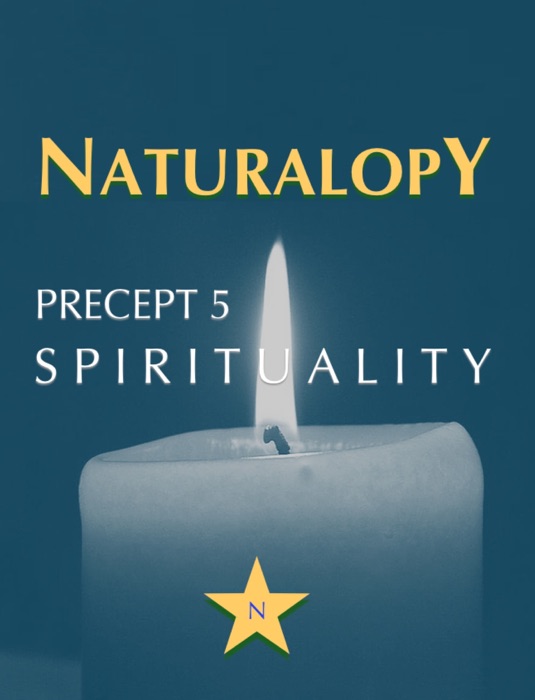 Naturalopy Precept 5: Spirituality