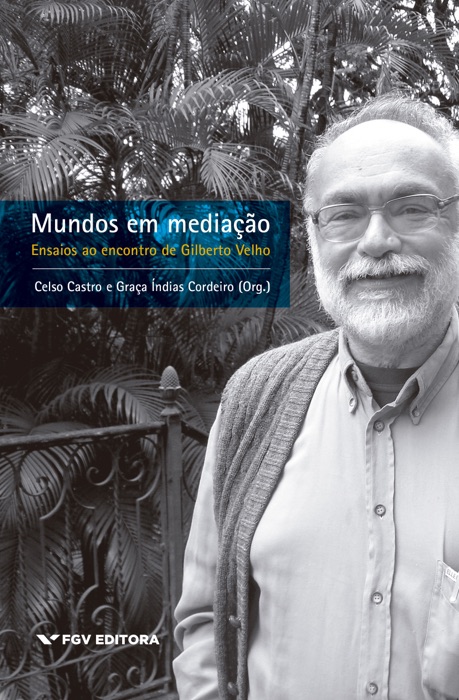 Mundos em mediação: ensaios ao encontro de Gilberto Velho