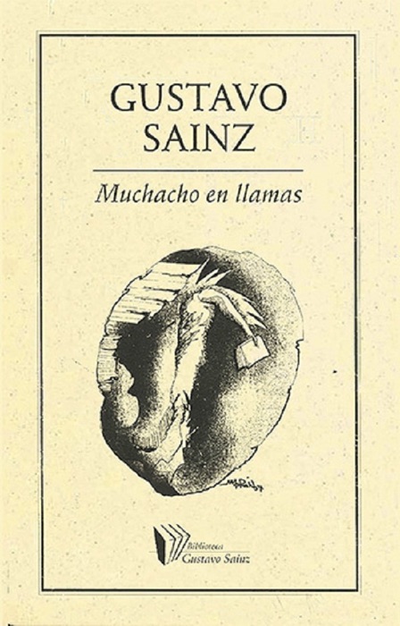Muchacho en llamas