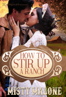 Misty Malone - How to Stir Up a Ranch artwork