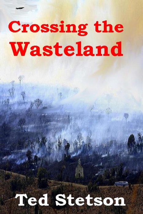 Crossing the Wasteland