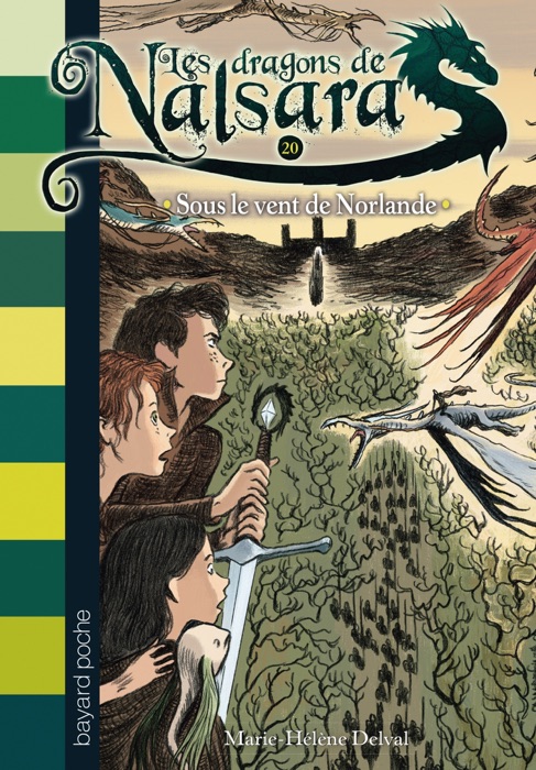 Les dragons de Nalsara, Tome 20