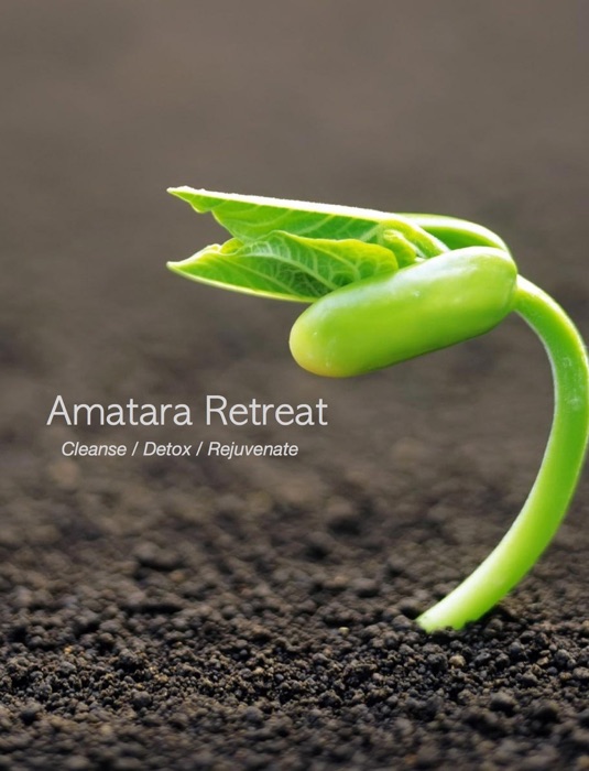 Amatara Retreat
