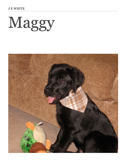 Maggy